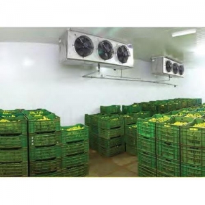 Banana Ripening Cold Room