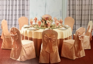 Manufacturers Exporters and Wholesale Suppliers of Banquet Hall Collection hyderabad Andhra Pradesh