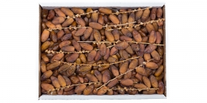 Manufacturers Exporters and Wholesale Suppliers of Barari Tunisian Semi Branched Dates (Seeded) Navi Mumbai Maharashtra Barari Tunisian Semi Branched Dates (Seeded)