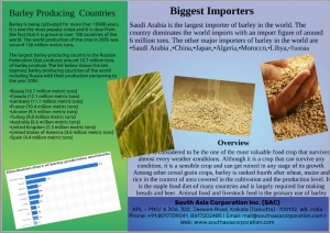 BARLEY Manufacturer Supplier Wholesale Exporter Importer Buyer Trader Retailer in kolkata West Bengal India