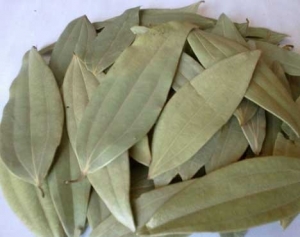 Manufacturers Exporters and Wholesale Suppliers of Bay Leaf (Tej Patta) KANGRA Himachal Pradesh