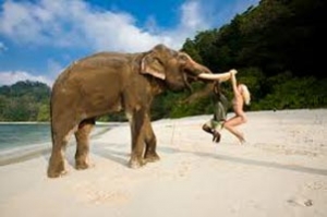 Beach Tour Holidays Services in Port Blair Andaman & Nicobar India