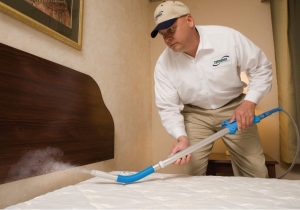 Manufacturers Exporters and Wholesale Suppliers of Bed Bugs & Beetles Treatment New Delhi Delhi