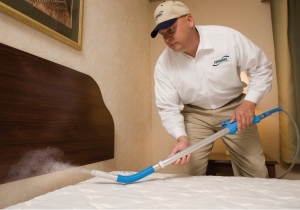 Bed Bugs & Beetles Treatment Services in New Delhi Delhi India