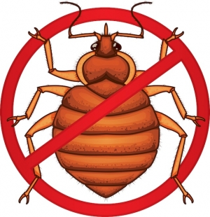 Service Provider of Bedbugs Control Services Hyderabad Andhra Pradesh 