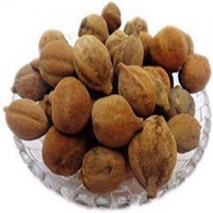 Manufacturers Exporters and Wholesale Suppliers of Baheda KANGRA Himachal Pradesh