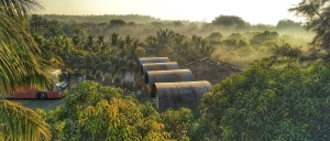 Bhavesh Farm-Sasan Gir Services in Sasan Gir Gujarat India