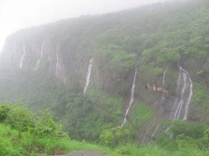 Service Provider of Bhimashankar Nashik Maharashtra Bhimashankar