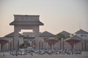 Service Provider of Bird Sanctuary Jodhpur Rajasthan 