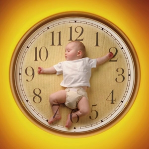 Manufacturers Exporters and Wholesale Suppliers of Birth Time Rectification New Delhi Delhi