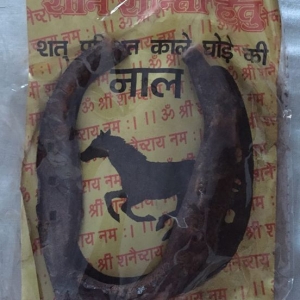 Manufacturers Exporters and Wholesale Suppliers of Black Horse Shoe Noida Uttar Pradesh