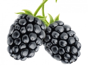 Blackberry