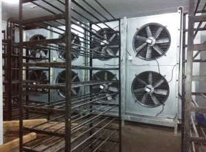 Manufacturers Exporters and Wholesale Suppliers of Blast Freezer Room Surat Gujarat