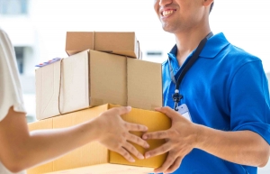 Service Provider of Blue Dart Courier Services New Delhi Delhi