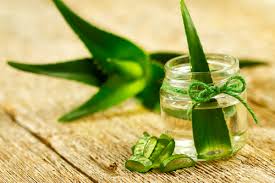 Manufacturers Exporters and Wholesale Suppliers of Botanical Extracts Bengaluru Karnataka