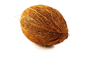 Manufacturers Exporters and Wholesale Suppliers of Brown Coconut KOCHI Kerala