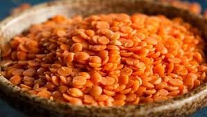 Brown Lentil Split (Masoor Dal) Manufacturer Supplier Wholesale Exporter Importer Buyer Trader Retailer in Gondia Maharashtra India