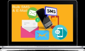 Bulk SMS Service Services in Ahmedabad Gujarat India