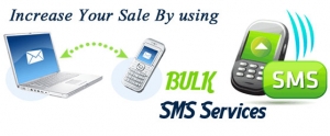Bulk SMS Service Services in Bhopal Madhya Pradesh India