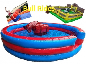 Manufacturers Exporters and Wholesale Suppliers of Bull Ride New Delhi Delhi
