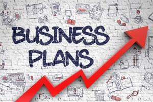 Service Provider of Business Planning Rewa Madhya Pradesh