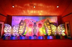 Service Provider of BUTTERFLY THEME PARTY  Delhi 