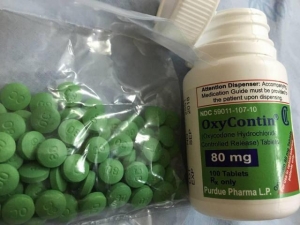Manufacturers Exporters and Wholesale Suppliers of oxycontin 80mg delhi delhi Delhi oxycontin 80mg