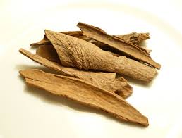 Manufacturers Exporters and Wholesale Suppliers of CINNAMOM Nagpur Maharashtra
