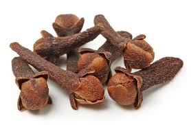 Manufacturers Exporters and Wholesale Suppliers of CLOVES Nagpur Maharashtra