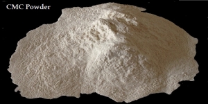 Sodium Carboxymethyl Cellulose Manufacturer Supplier Wholesale Exporter Importer Buyer Trader Retailer in Rajkot Gujarat India