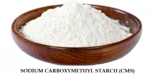 Manufacturers Exporters and Wholesale Suppliers of Sodium Carboxymethyl Starch Rajkot Gujarat