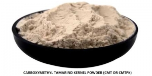 Carboxymethyl Tamarind Kernel Powder Manufacturer Supplier Wholesale Exporter Importer Buyer Trader Retailer in Rajkot Gujarat India