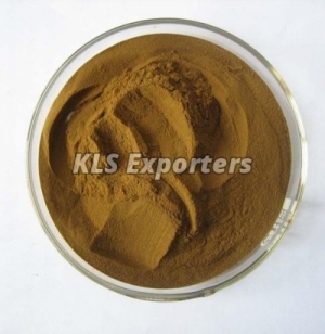 COLEUS FORSKOLIN POWDER Manufacturer Supplier Wholesale Exporter Importer Buyer Trader Retailer in Tiruchirappalli Tamil Nadu India