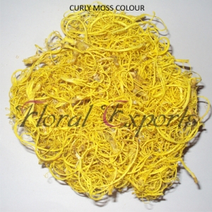 Manufacturers Exporters and Wholesale Suppliers of CURLY MOSS COLOUR Kolkata West Bengal