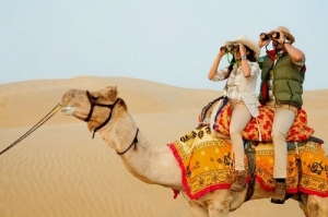 Service Provider of Camel Safari Bikaner Rajasthan