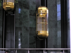 Capsule Elevator