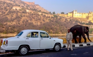 Service Provider of Car Hire For Royal Palace Noida Uttar Pradesh 