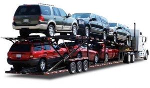 Service Provider of Car Transport Service Delhi Delhi 