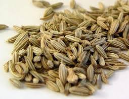 Manufacturers Exporters and Wholesale Suppliers of Caraway Seeds Ahmedabad Gujarat