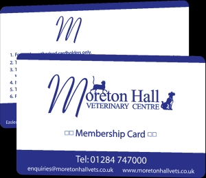 Manufacturers Exporters and Wholesale Suppliers of Cost Effective Loyalty Cards Ahmedabad, Gujarat Gujarat