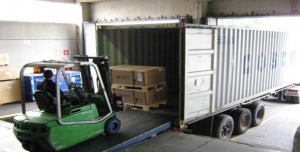 Service Provider of Careful Loading Unloading New Delhi Delhi 