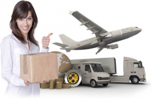 Service Provider of Cargo Service Lucknow Uttar Pradesh