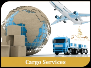 Service Provider of Cargo Services Ahmedabad Gujarat 