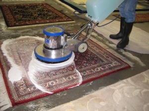 Service Provider of Carpet Dry Cleaning Delhi NCR Delhi 