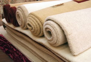 Manufacturers Exporters and Wholesale Suppliers of Carpets Noida Uttar Pradesh