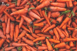 Carrot Manufacturer Supplier Wholesale Exporter Importer Buyer Trader Retailer in Pathsala Assam India