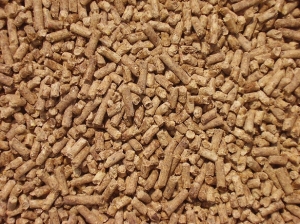 Manufacturers Exporters and Wholesale Suppliers of Cattle Feed Telangana 