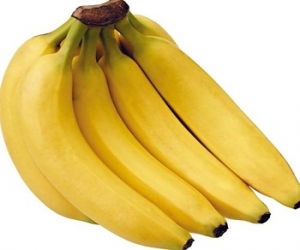 Cavendish Bananas Manufacturer Supplier Wholesale Exporter Importer Buyer Trader Retailer in Sangli Maharashtra India