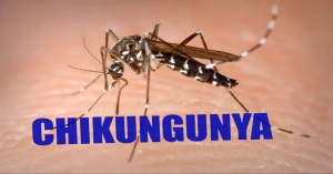 Chikungunya Services in Gurgaon Haryana India