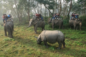 Chitwan National Park Services in New Delhi Delhi India